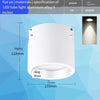Led Surface Mounted Downlight  Ceiling Downlight 4 7w Warm Light 4000k White