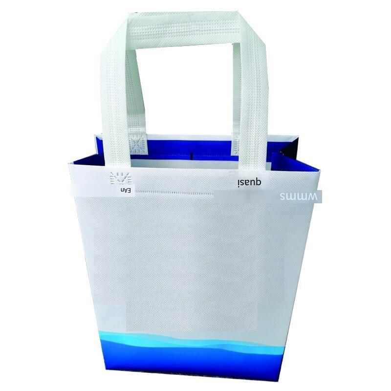 Non Woven Bag Polyester (80g) Large (300 * 400 * 80) mm