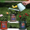 Watering Pot Watering Pot Plastic Watering Pot Long Spout Flower Watering Pot Gardening Flower Raising Tools Potted Watering Pot Green