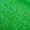 Simulation Lawn Encryption False Artificial Turf Green Enclosure Outdoor Indoor Playground Decorative Grass (green 100 Square 1 Roll)19 Needle Gum Style